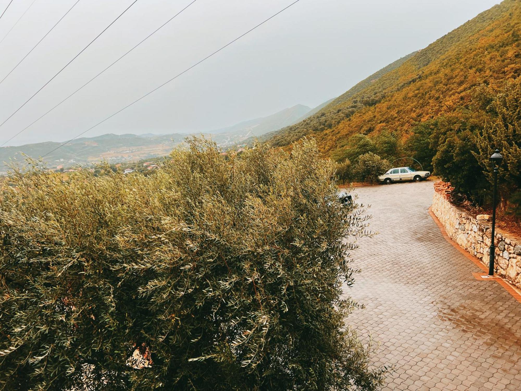 Chateau Fasel Tiranë Luaran gambar